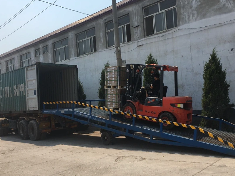 Professional Loading Containers